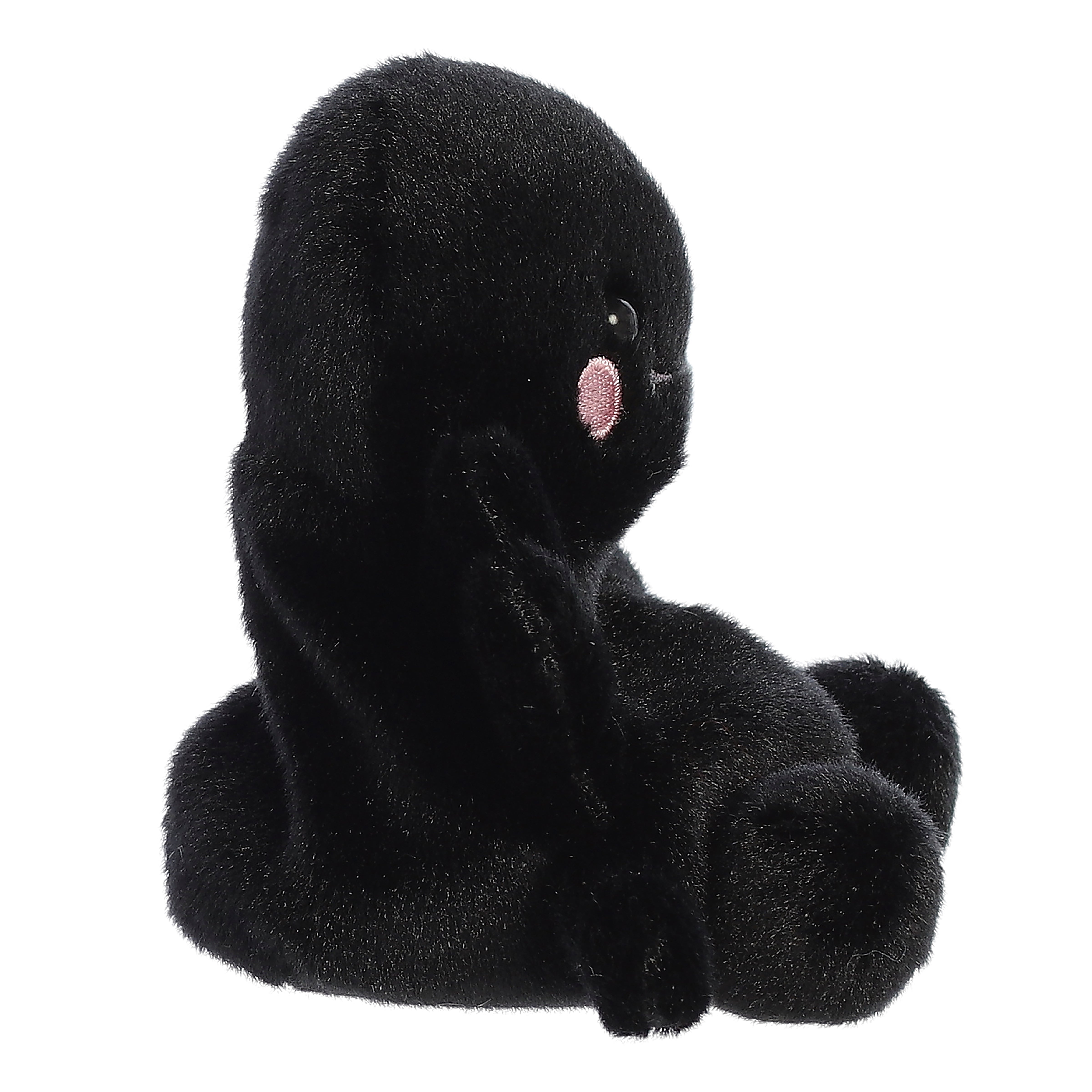 Palm Pals - Penny Mae Spider 13cm