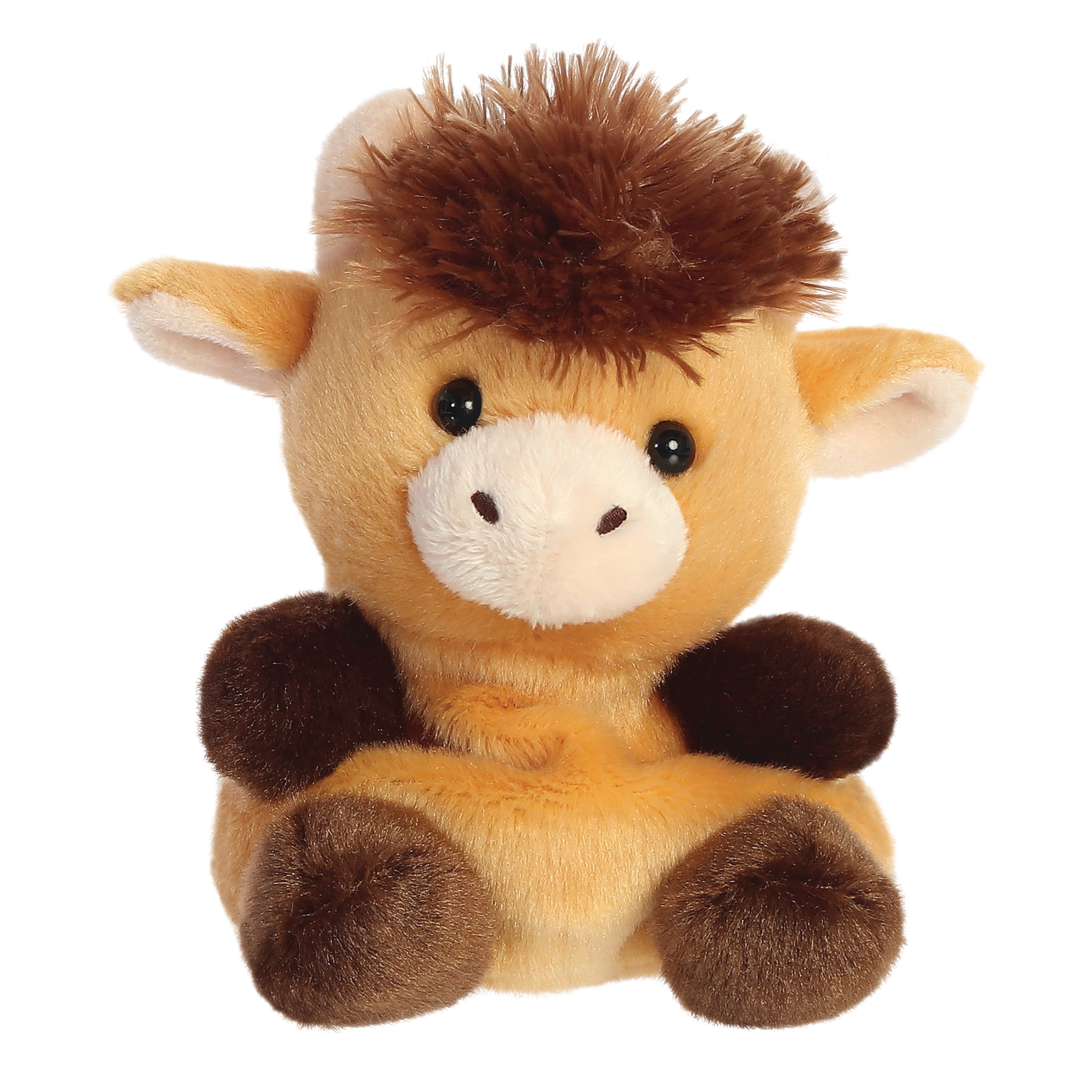Palm Pals - Hubert Highland Cow 13cm