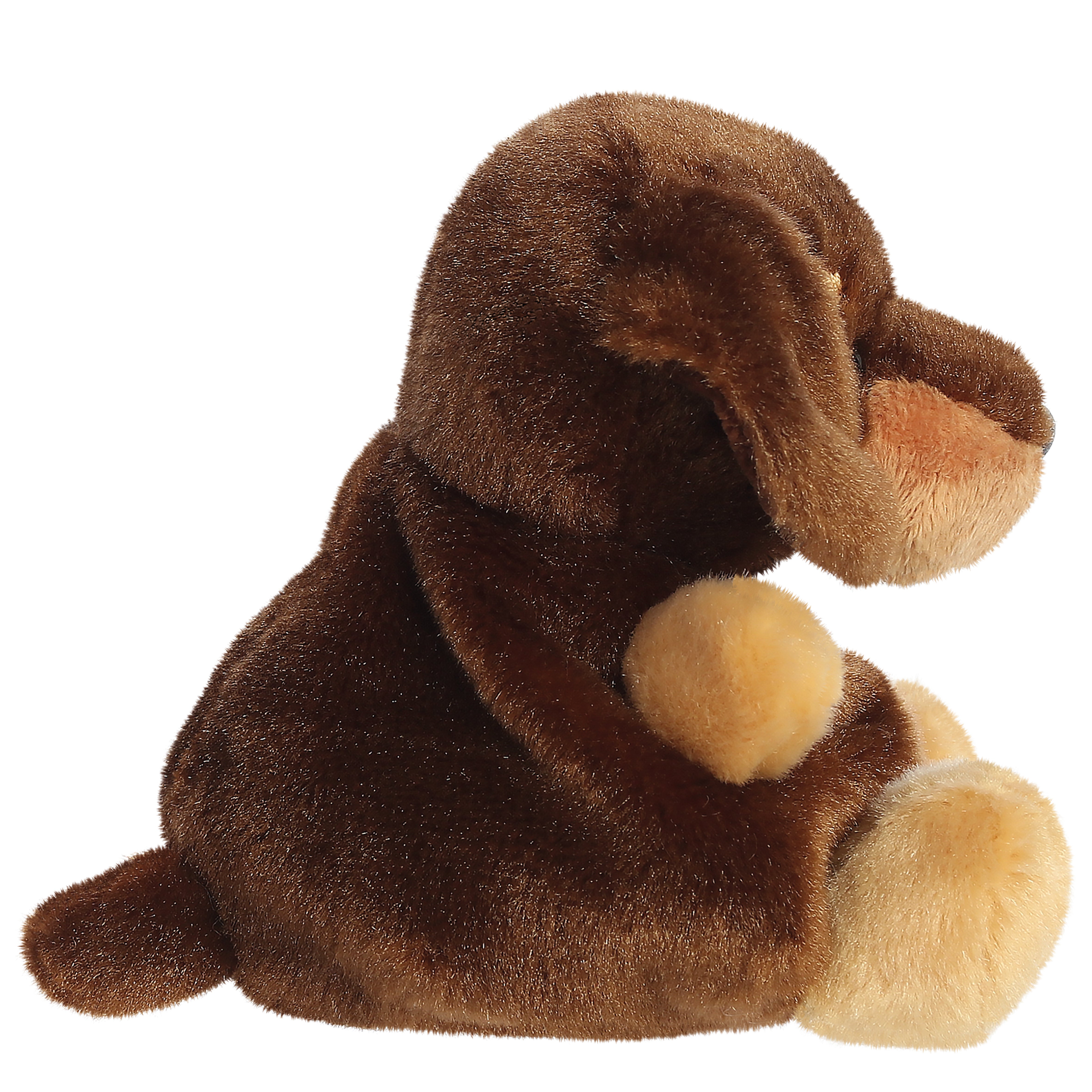 New - Houdini Dachshund 13cm