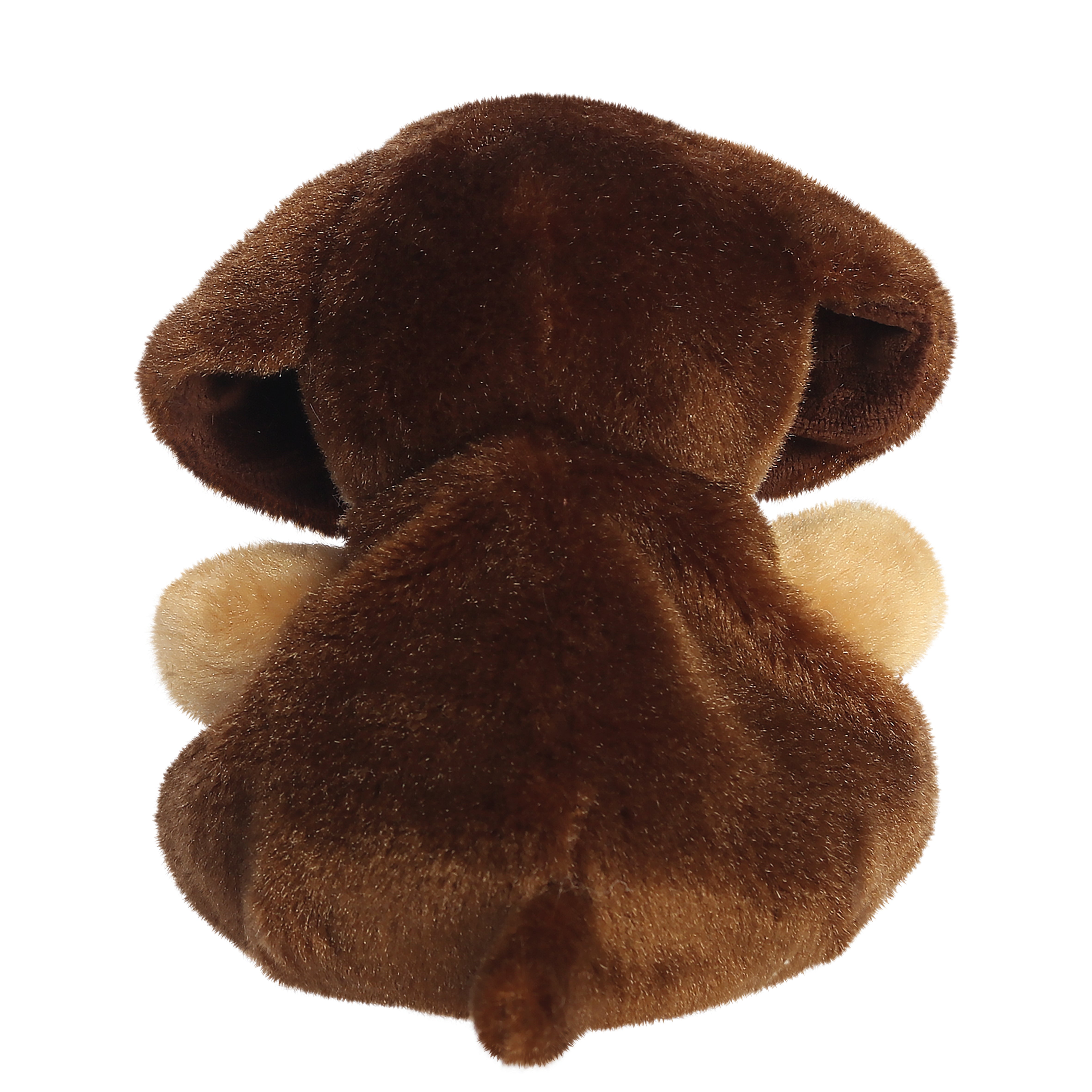 New - Houdini Dachshund 13cm
