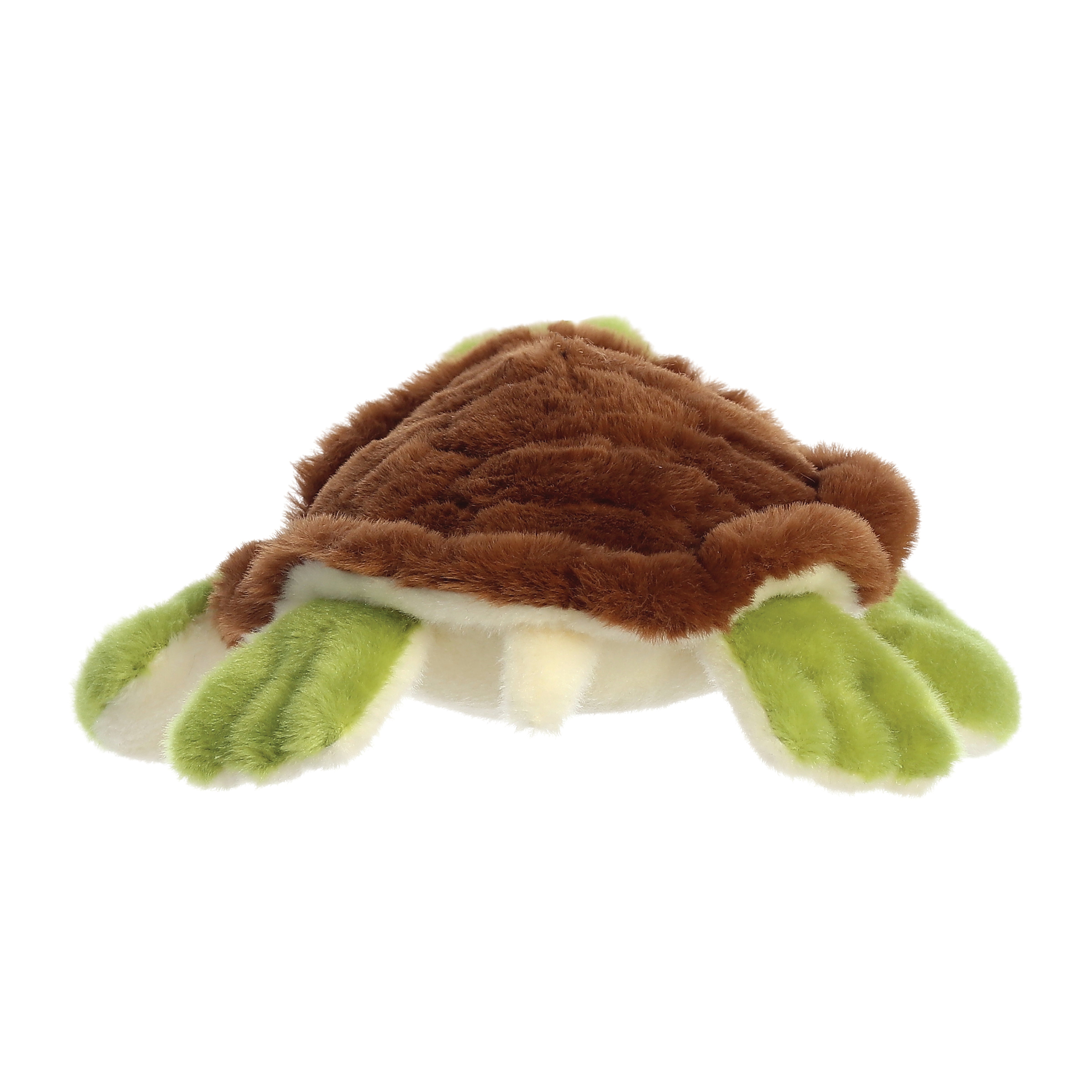 Eco Nation - Turtle 25cm