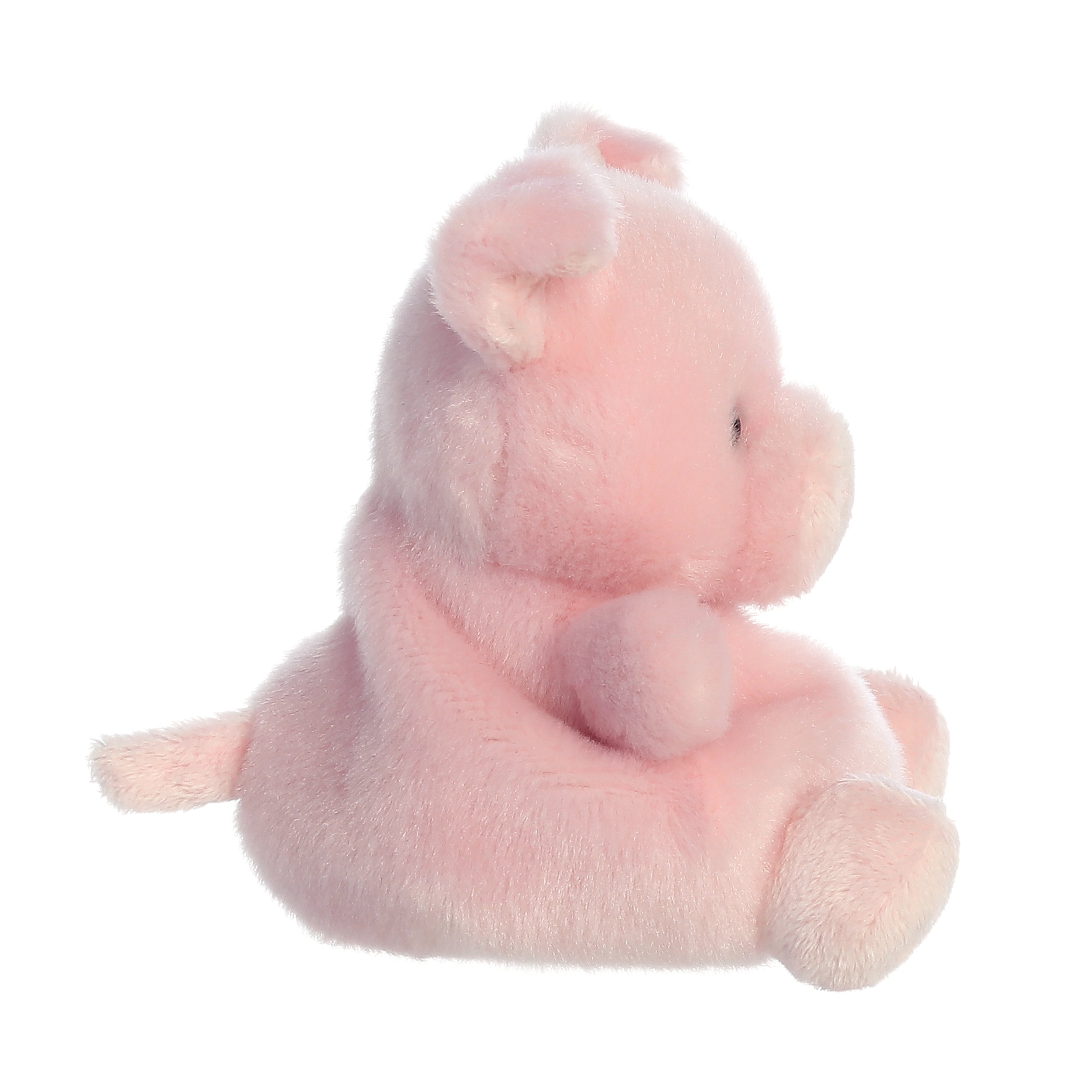 Palm Pals - Wizard Pig 13cm