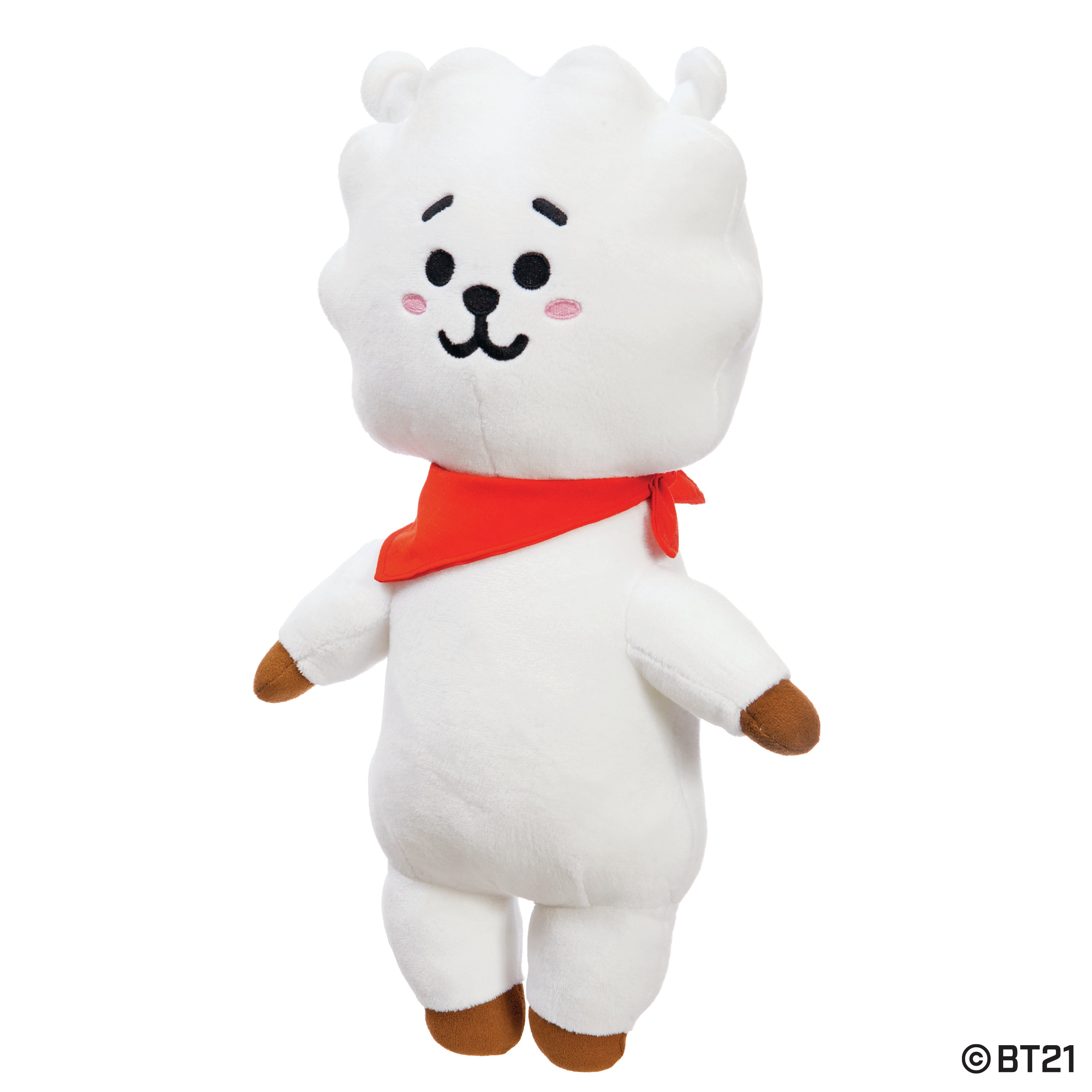 BT21 - RJ 26cm