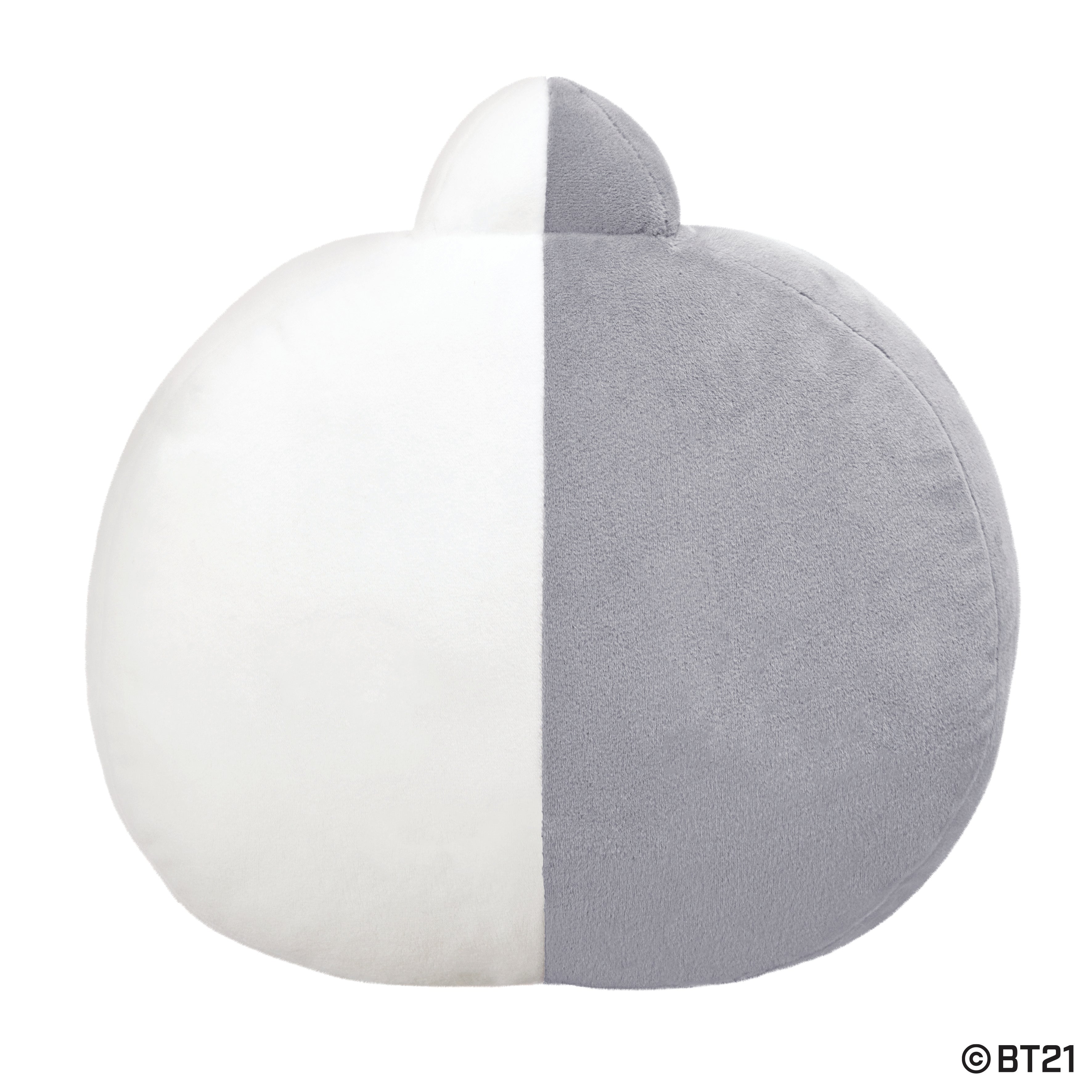 BT21 - VAN Cushion 32cm