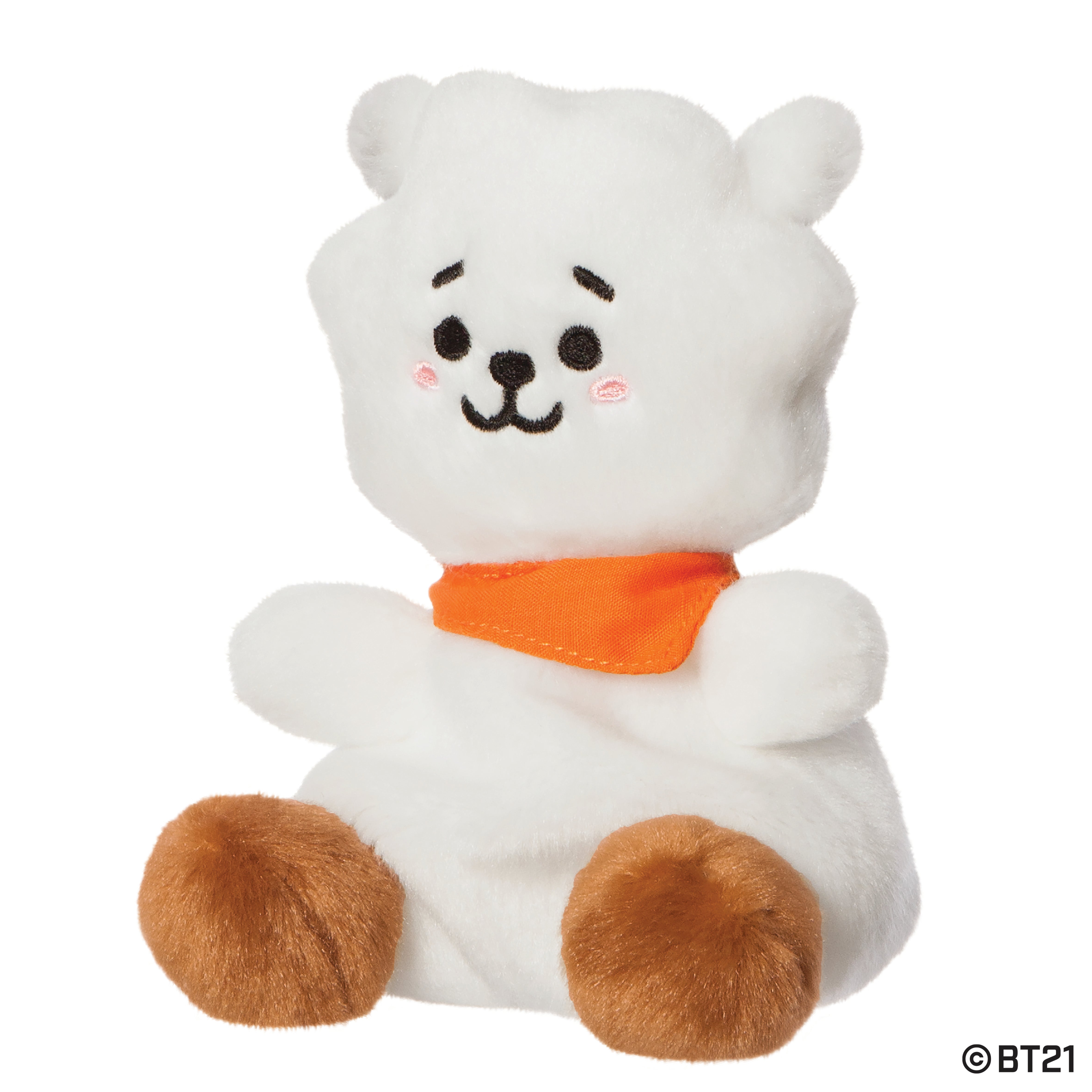 BT21 - RJ Palm Pal 13cm