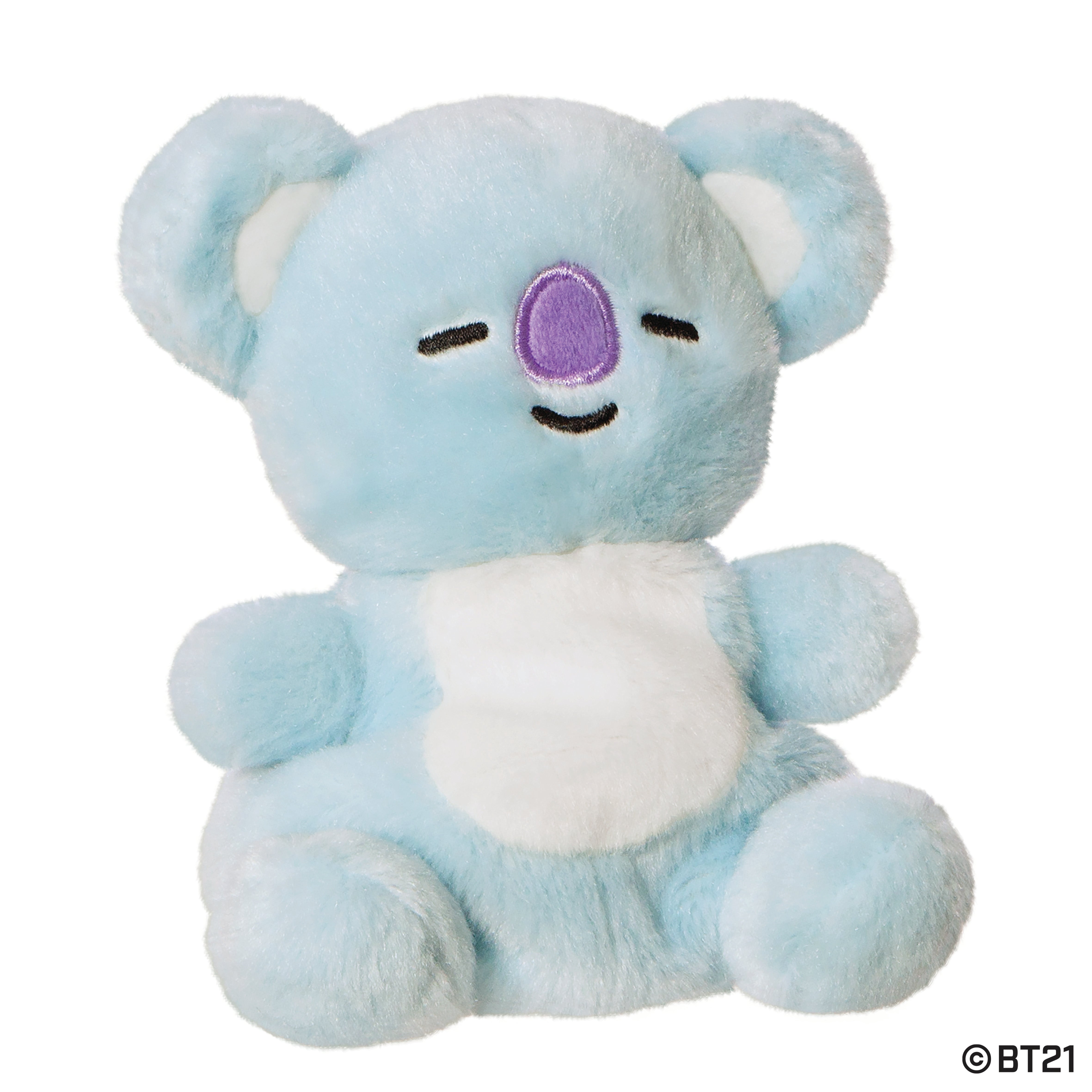 BT21 - KOYA Palm Pal 13cm