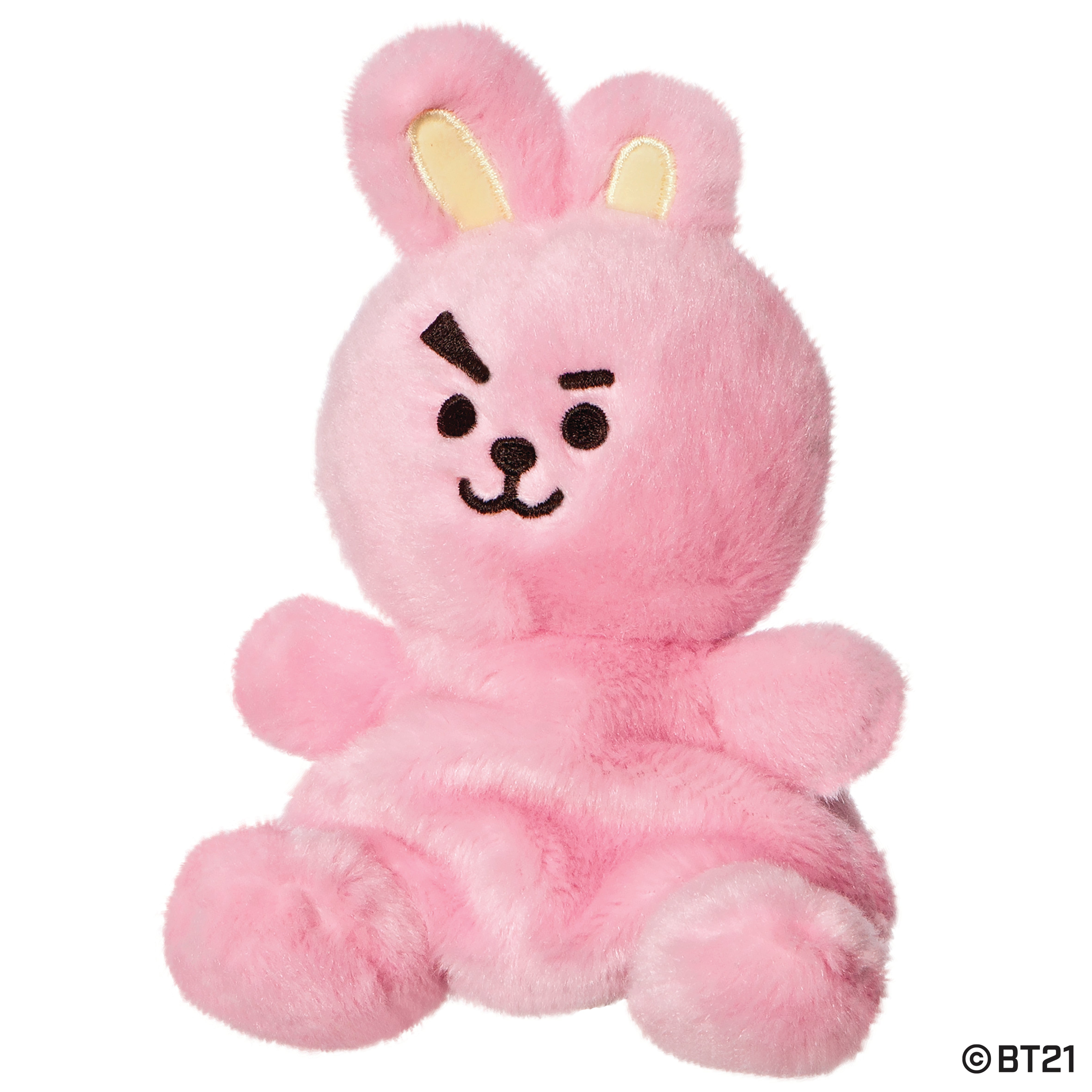 BT21 - COOKY Palm Pal 13cm