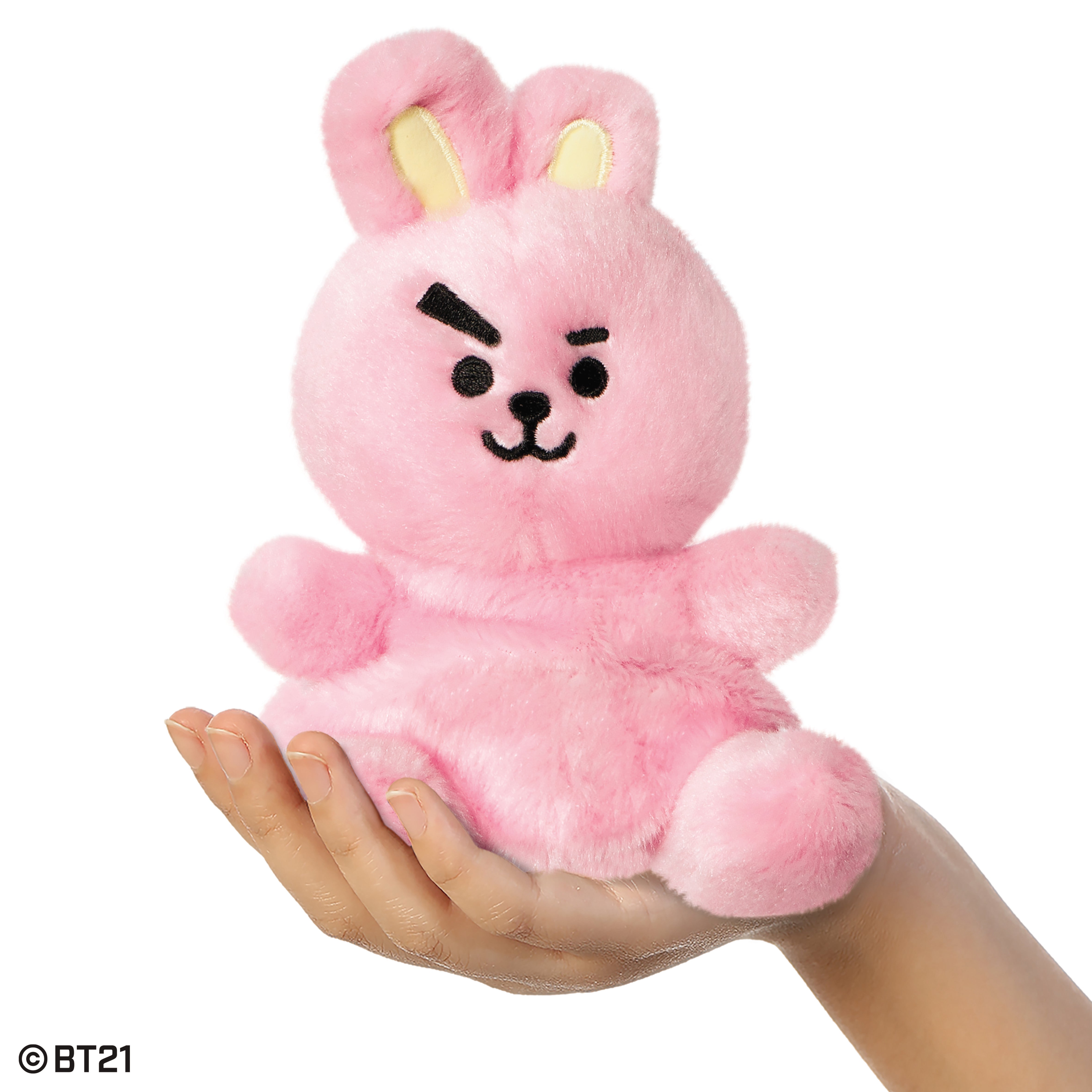 BT21 - COOKY Palm Pal 13cm