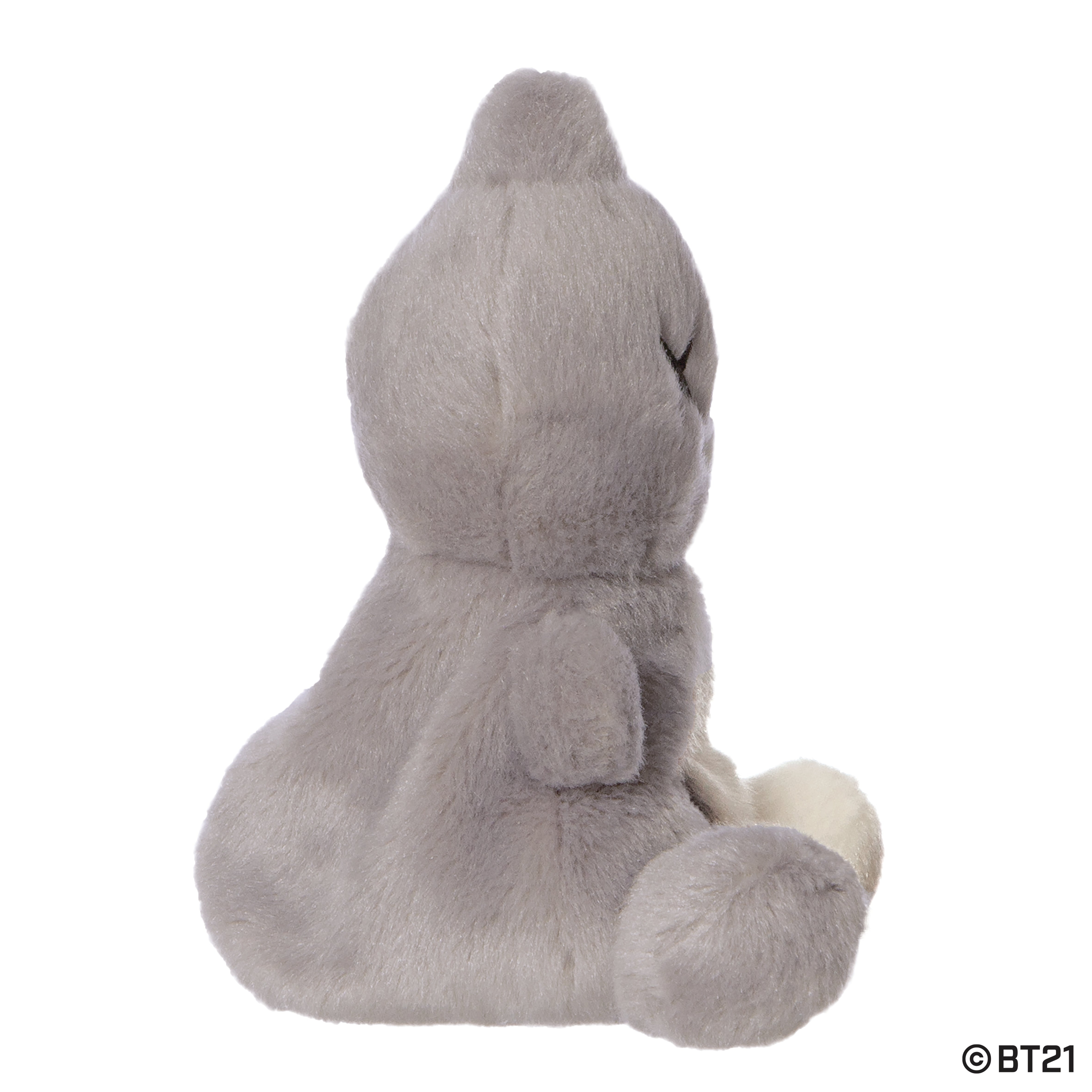 BT21 - VAN Palm Pal 13cm