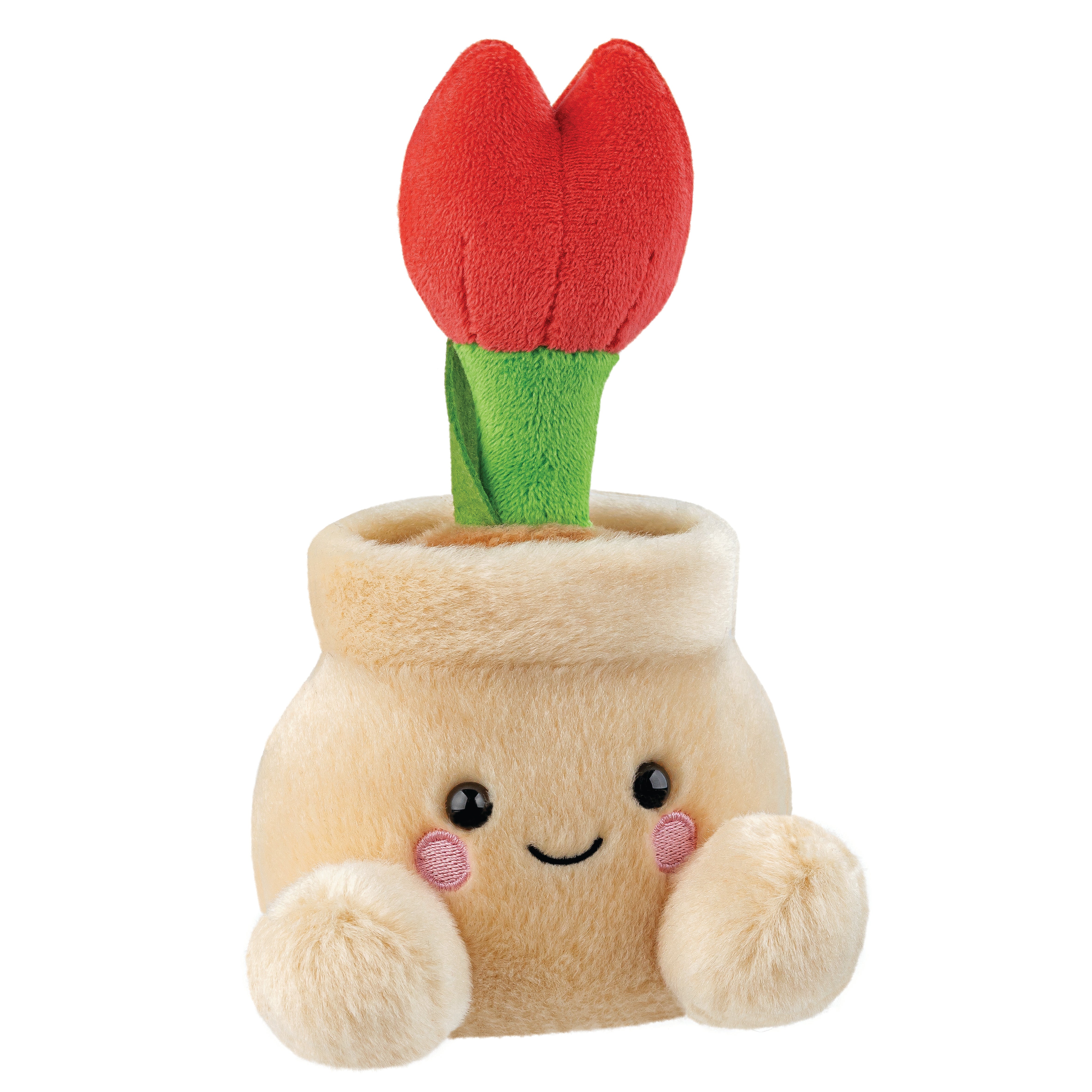 Palm Pals - Lilybelle Potted Tulip 13cm