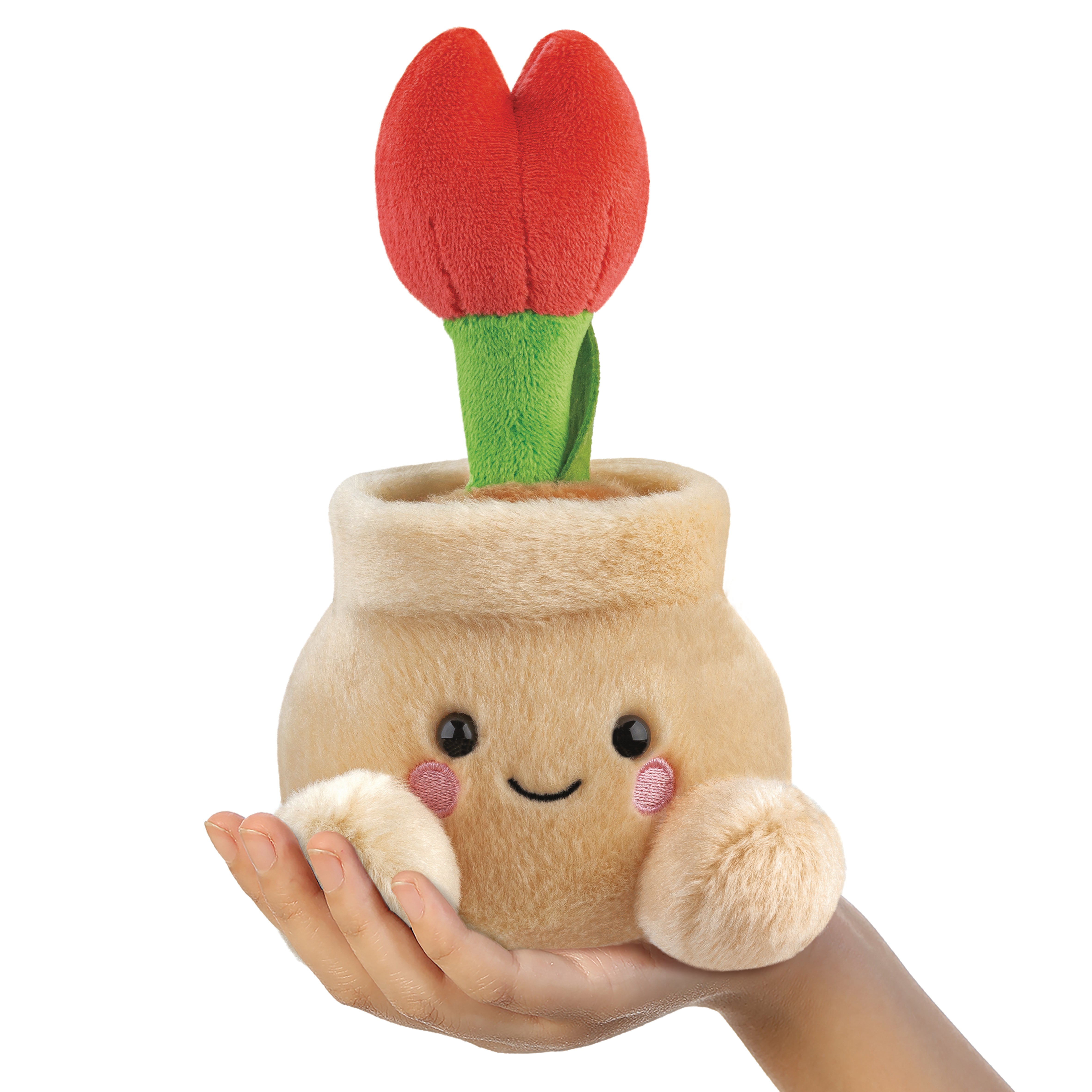 Palm Pals - Lilybelle Potted Tulip 13cm