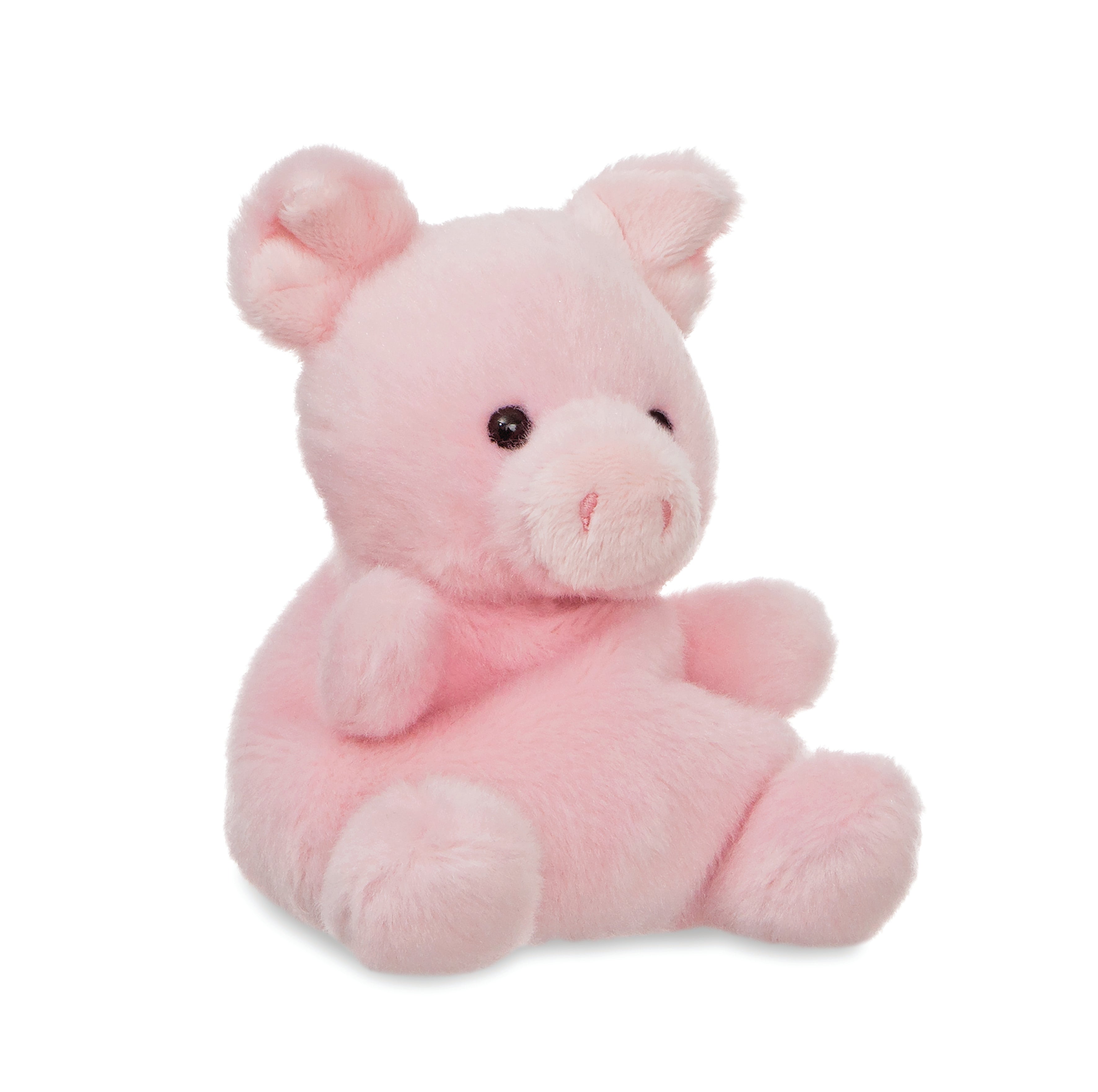 Palm Pals - Wizard Pig 13cm