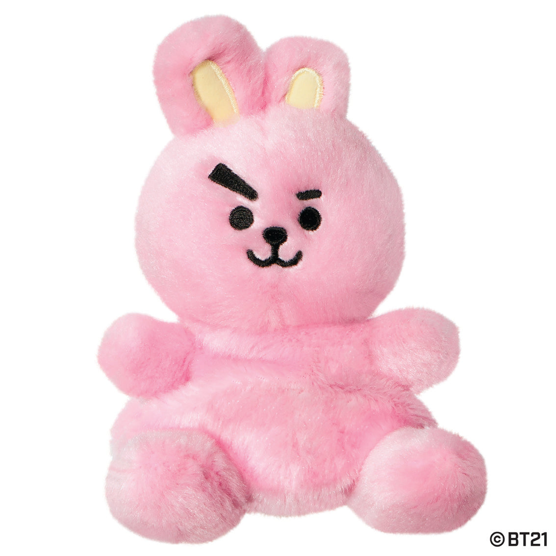 BT21 - COOKY Palm Pal 13cm