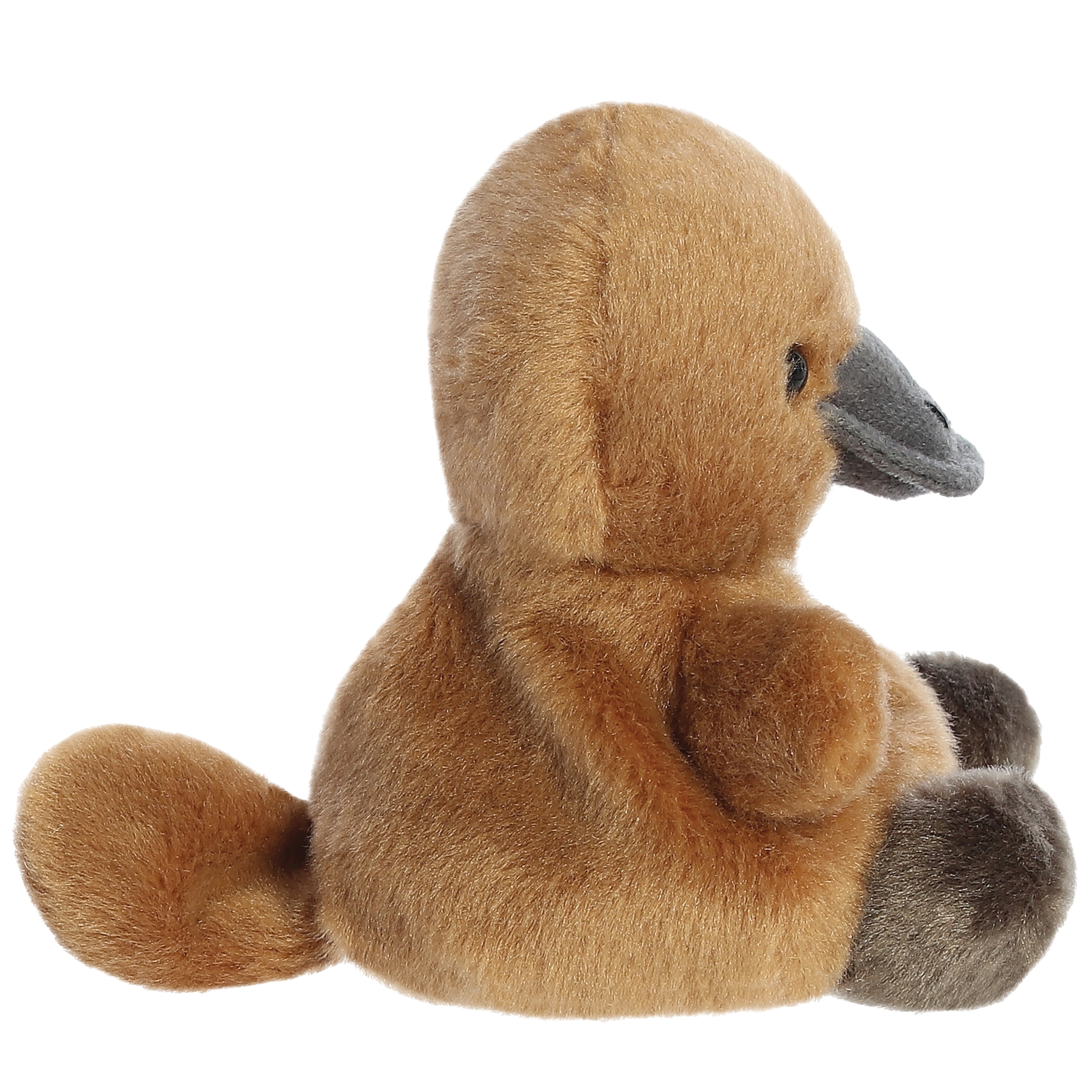 Palm Pals - Patty Platypus 13cm