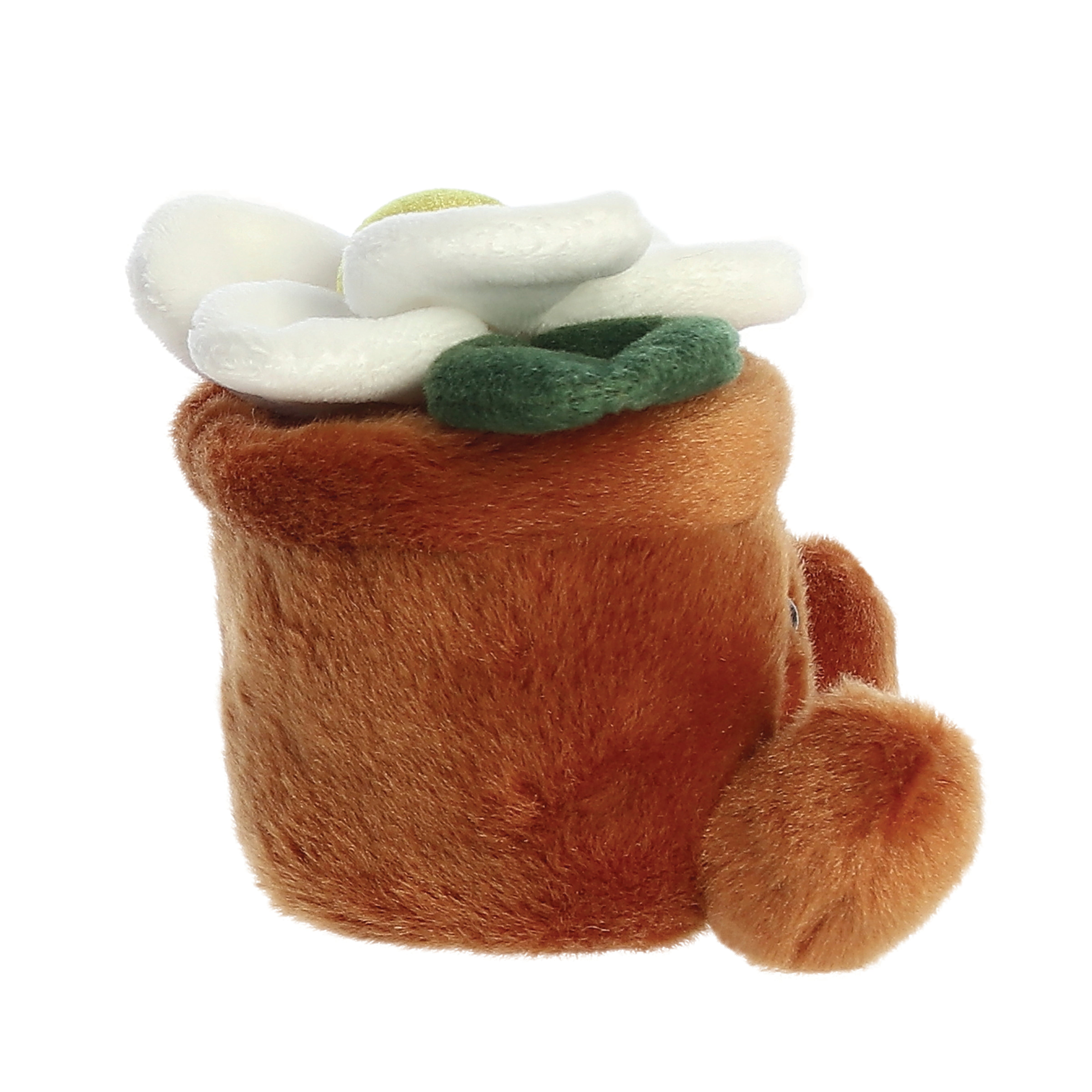 Palm Pals - Junie Daisy 13cm
