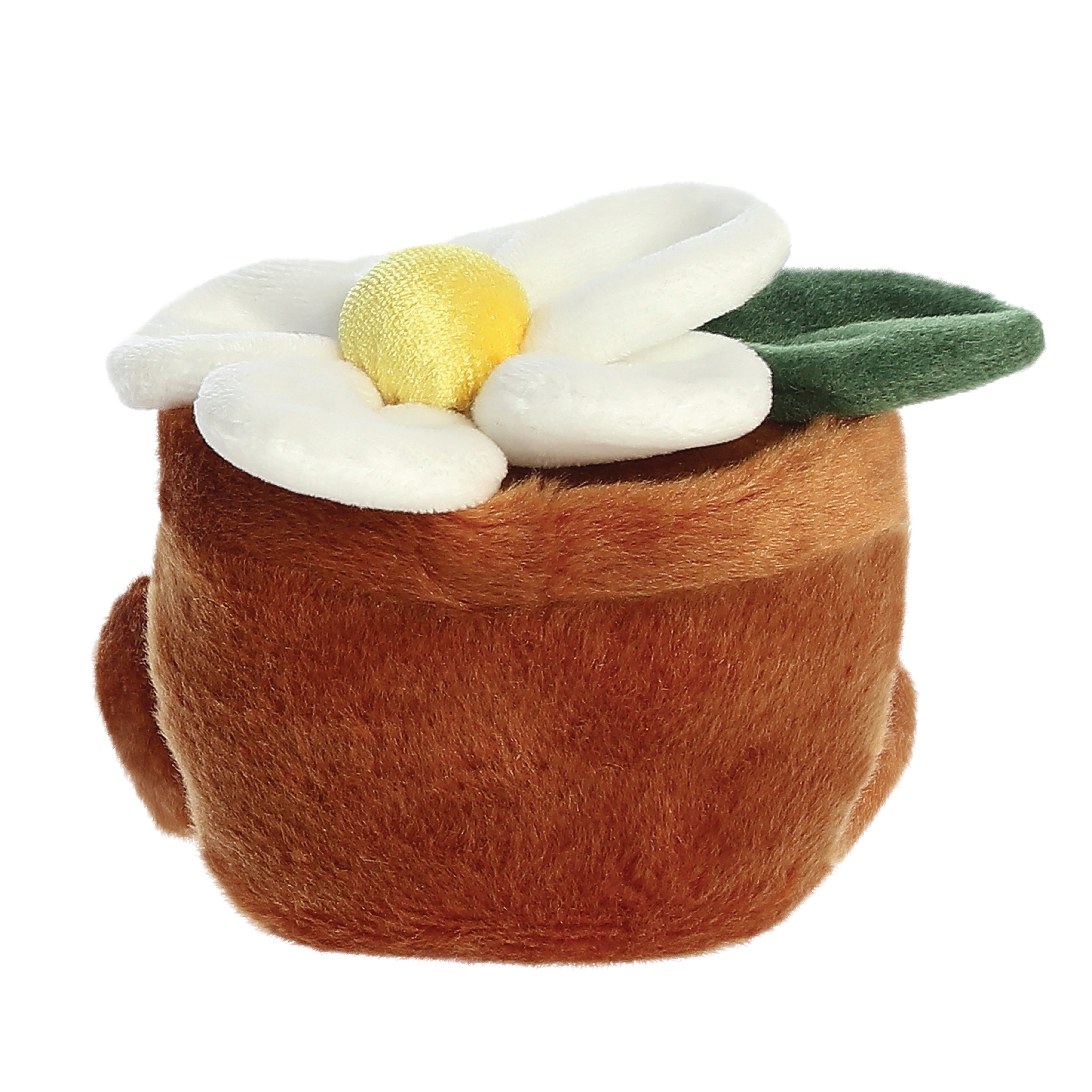 Palm Pals - Junie Daisy 13cm