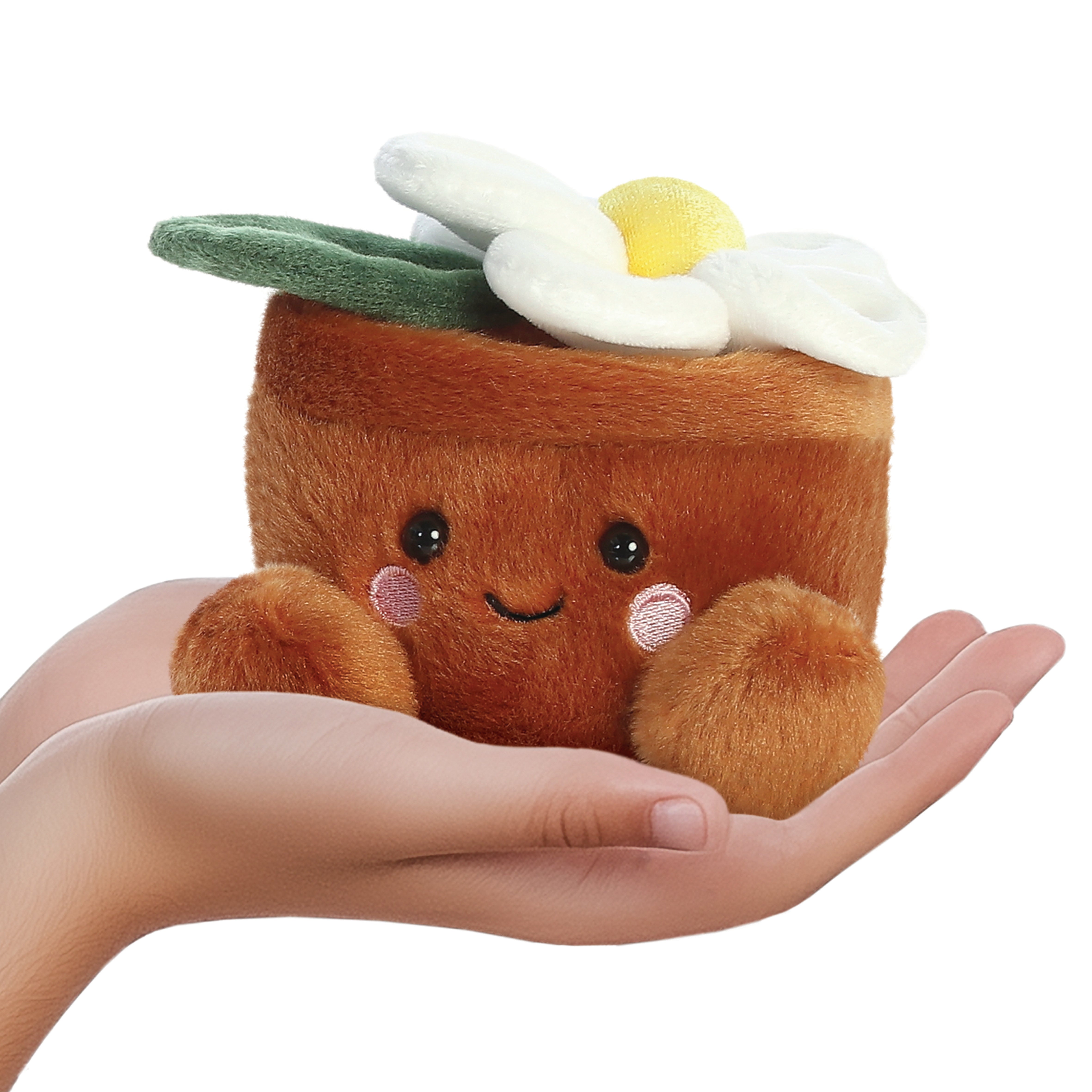 Palm Pals - Junie Daisy 13cm