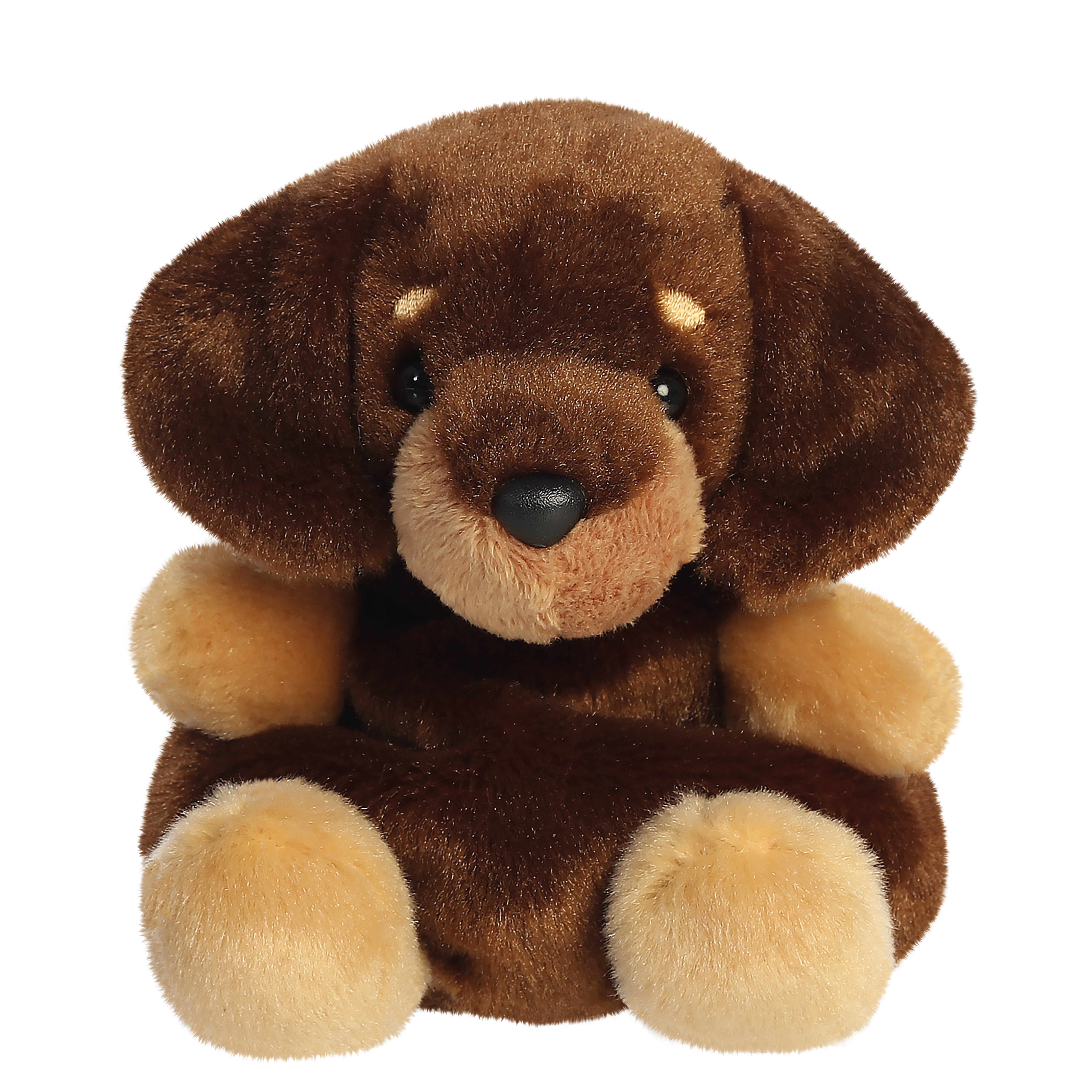 New - Houdini Dachshund 13cm
