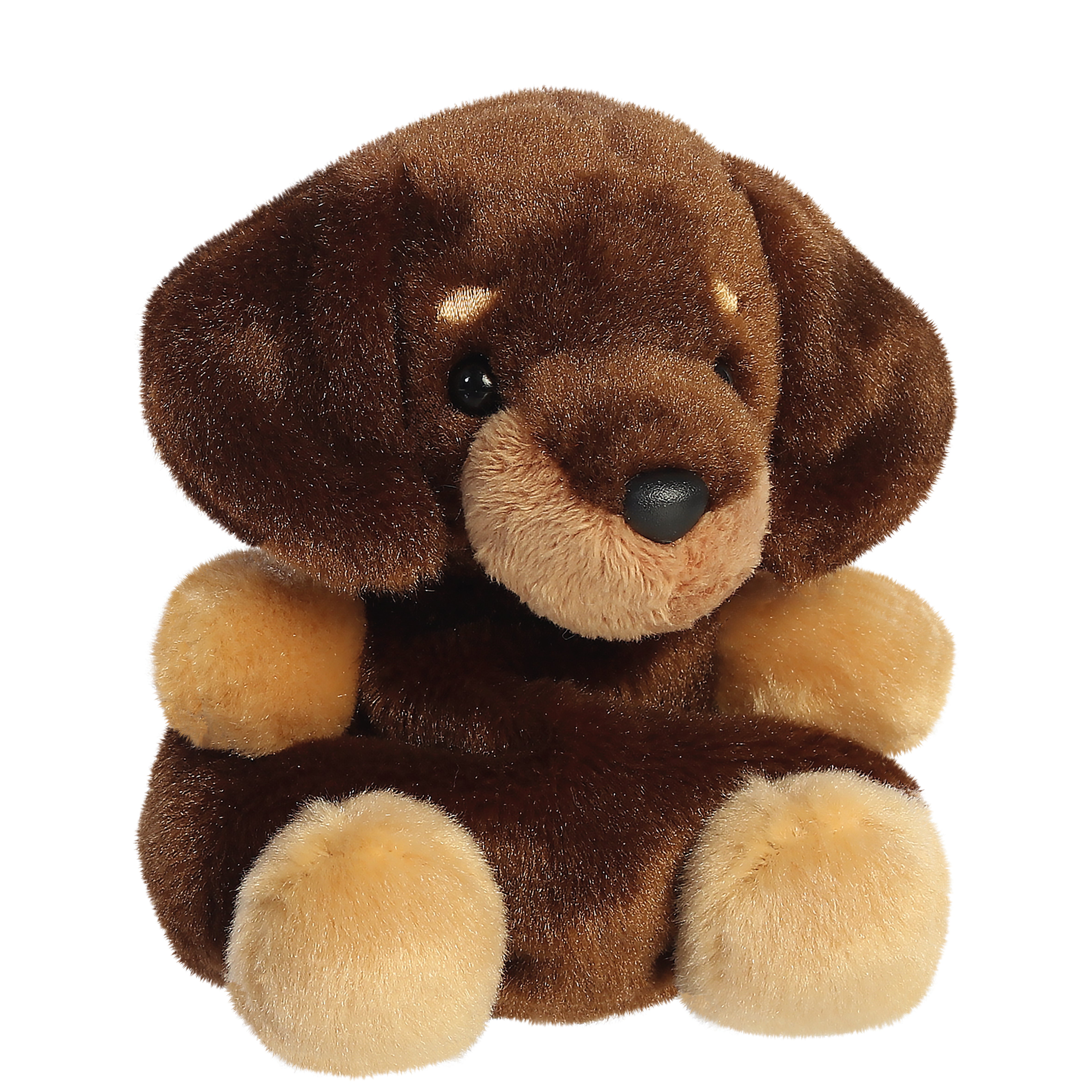 New - Houdini Dachshund 13cm
