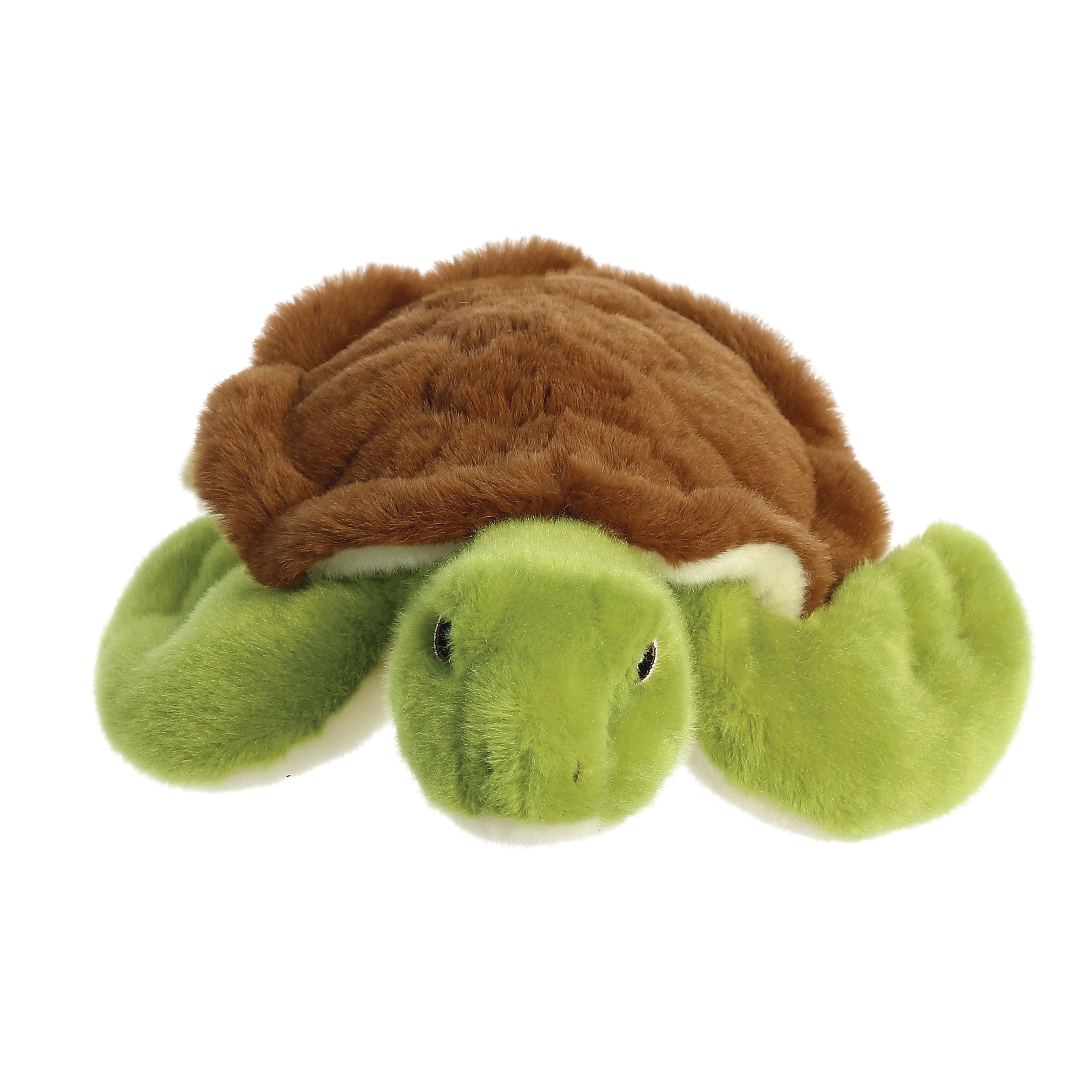 Eco Nation - Turtle 25cm
