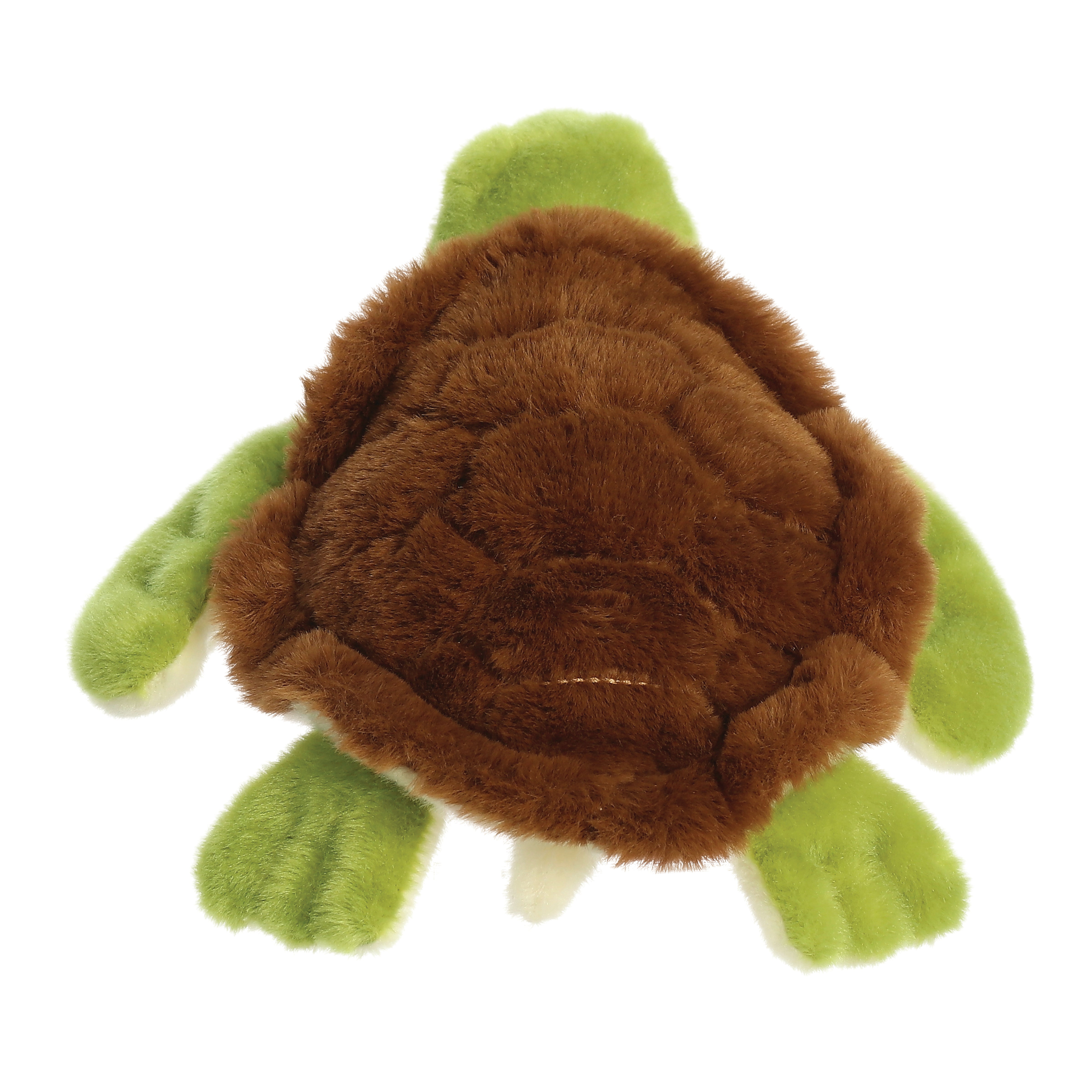 Eco Nation - Turtle 25cm