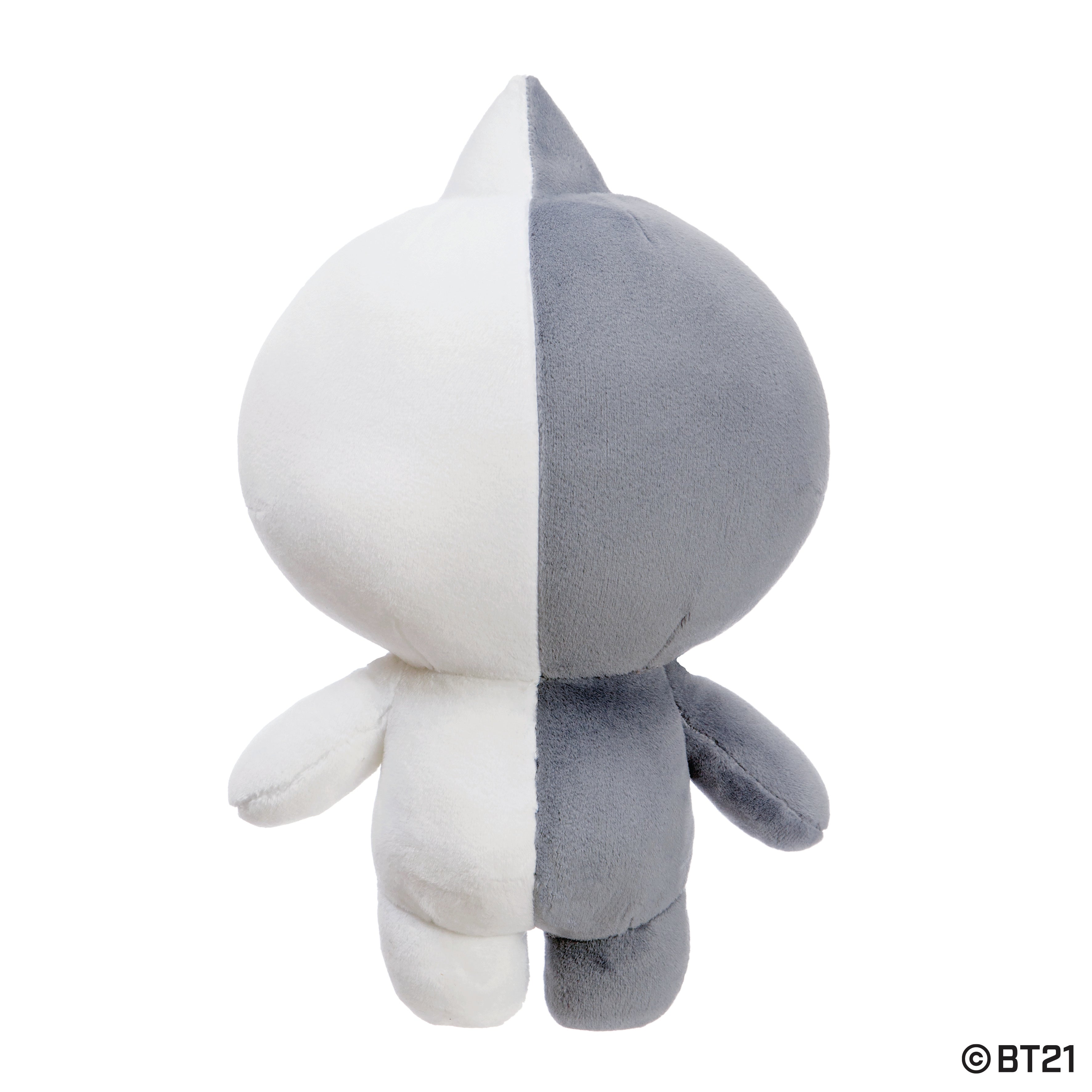 BT21 - Van 30cm