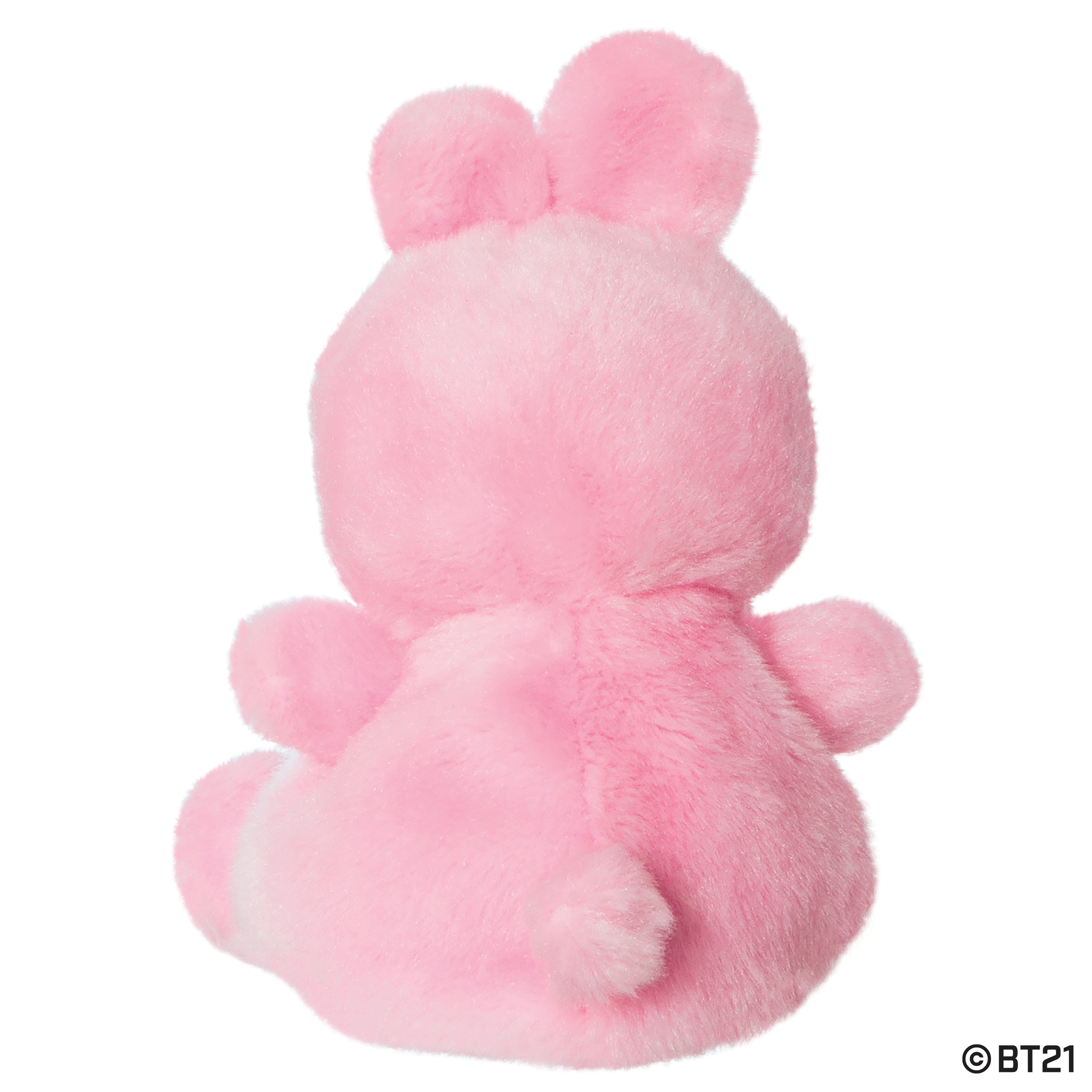 BT21 - COOKY Palm Pal 13cm