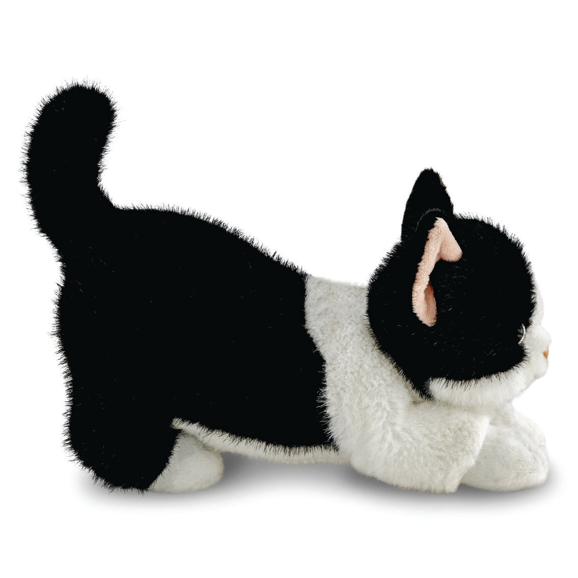 Borealis - Domino B&W Cat 28cm