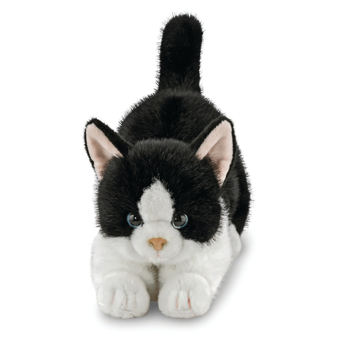 Borealis - Domino B&W Cat 28cm