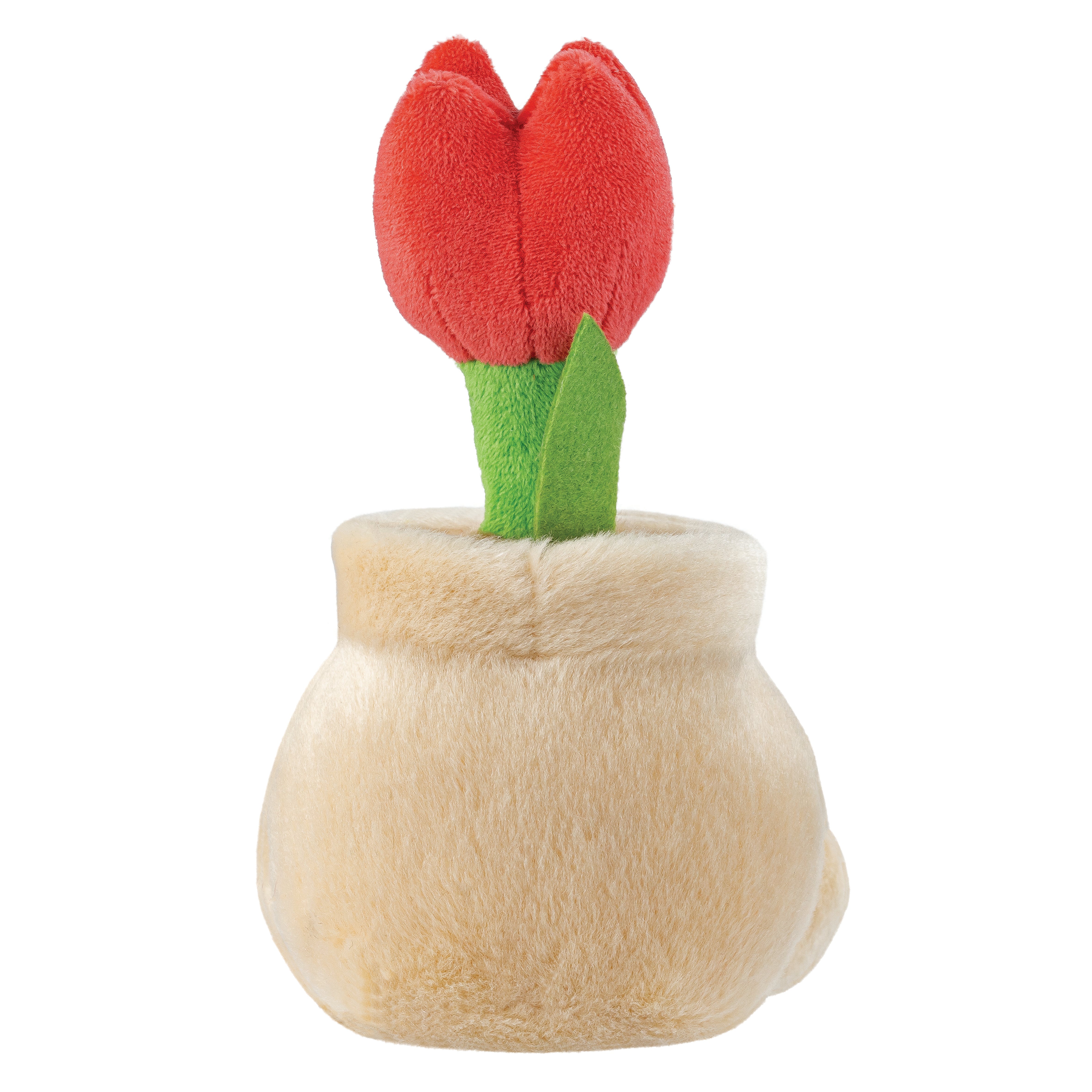 Palm Pals - Lilybelle Potted Tulip 13cm
