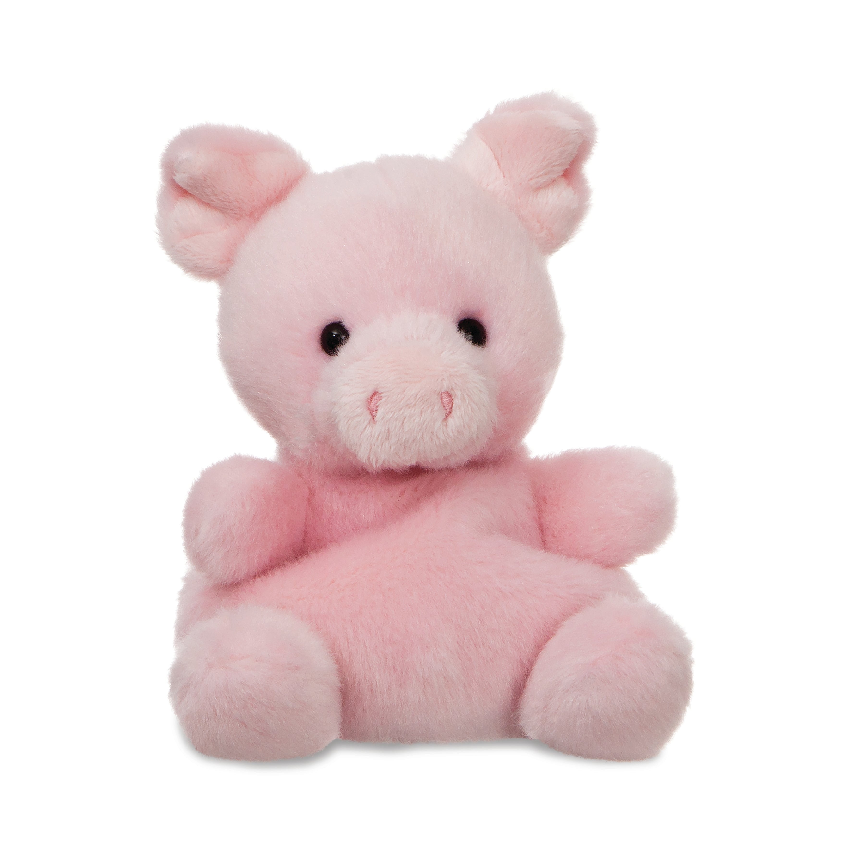 Palm Pals - Wizard Pig 13cm